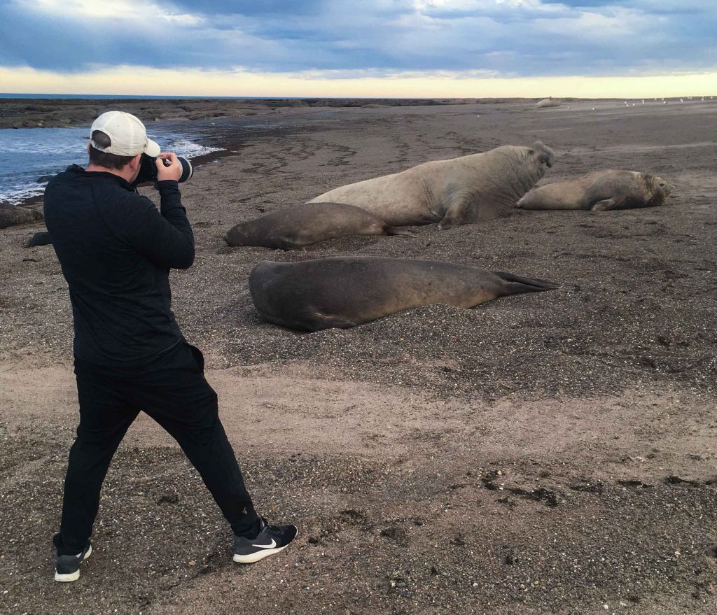 MS Productions Elephant Seals Photographing Isla Escondida