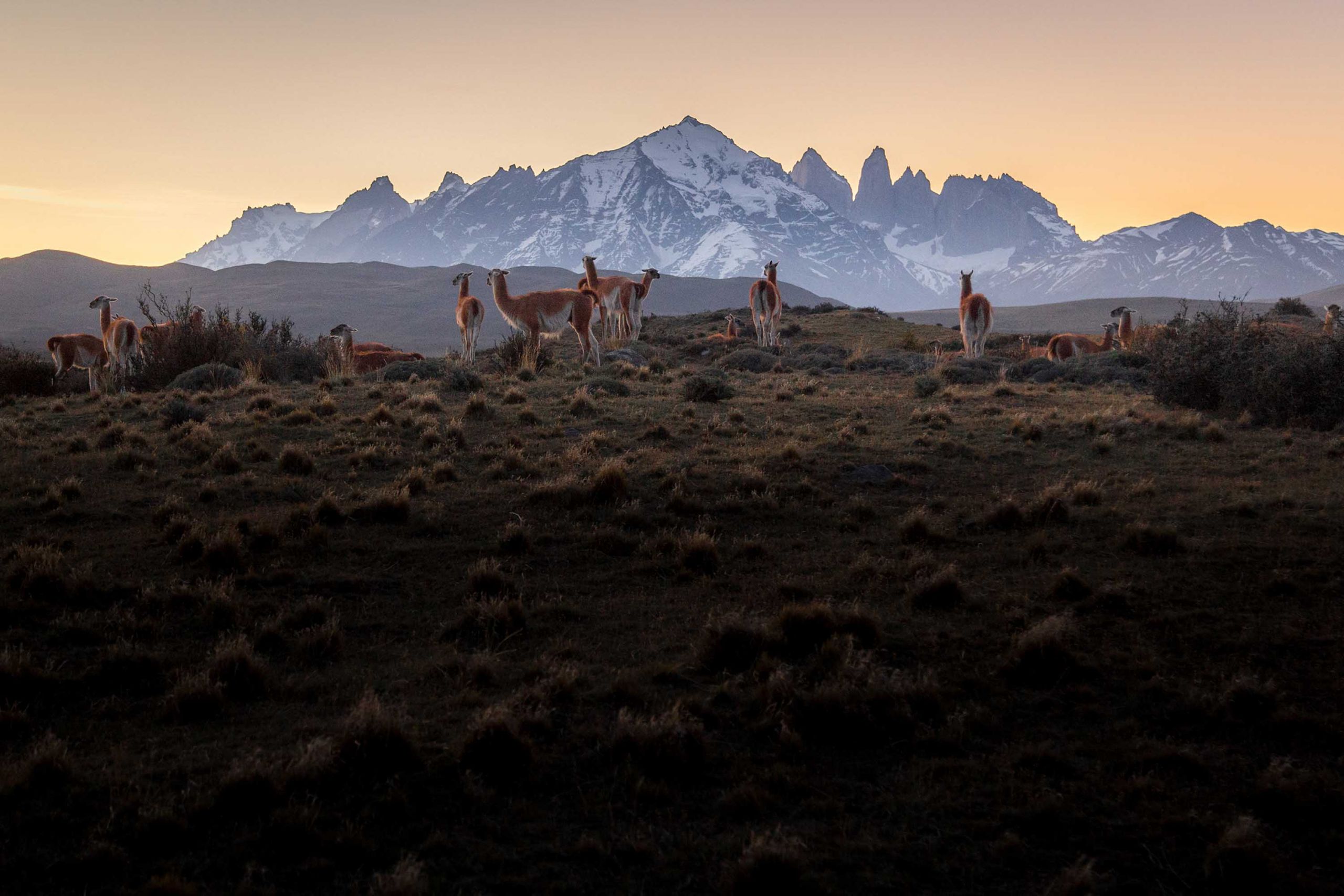 MS Productions Photography Nature Landscape Torres del Paine